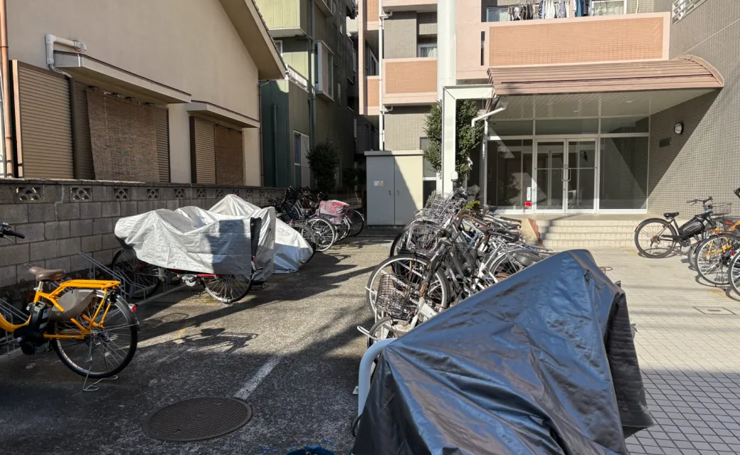 駐車場からの道