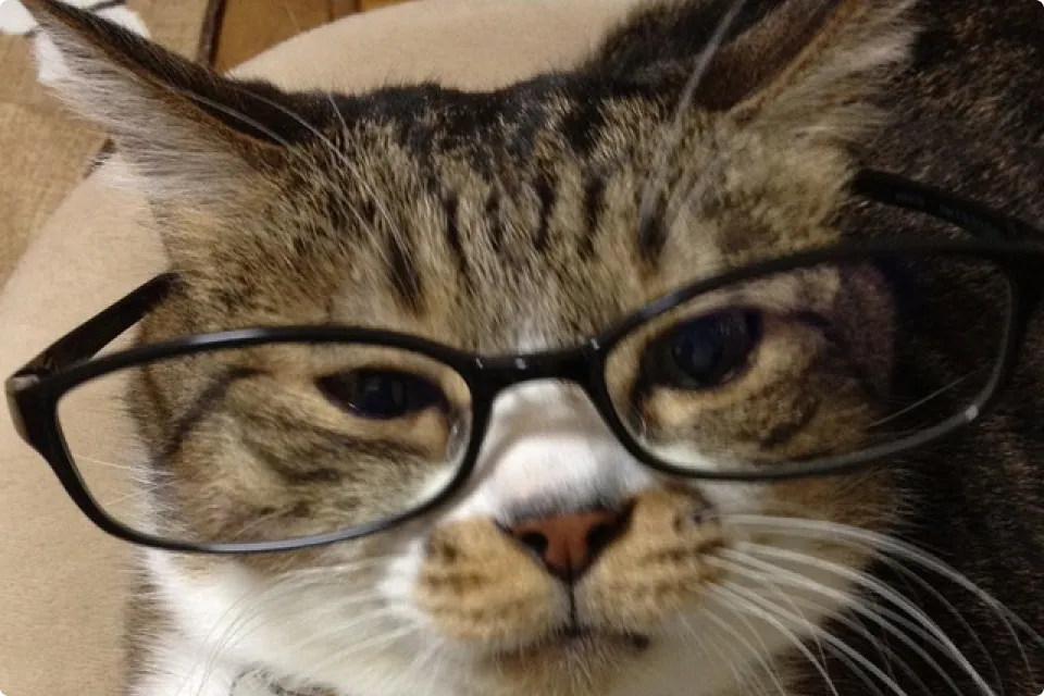 高橋祐美子看護師の写真